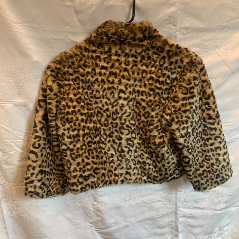 Short Jacket - Picture 3 of 3
